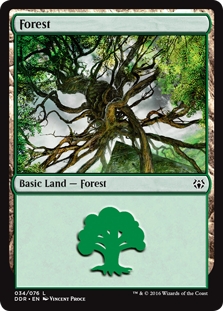 Forest (34)
