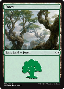 Forest (35)
