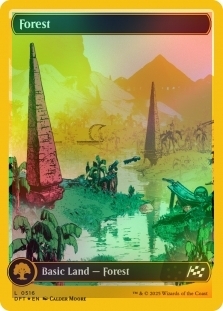 Forest (516) (Full Art) (First Place Foil)