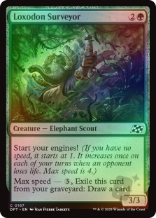 Loxodon Surveyor