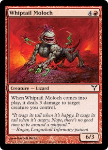 Whiptail Moloch