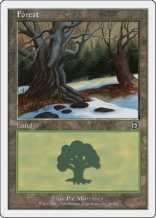 Forest (49)