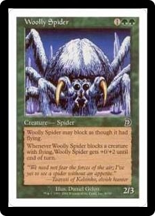 Woolly Spider