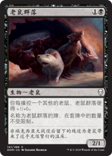 Rat Colony