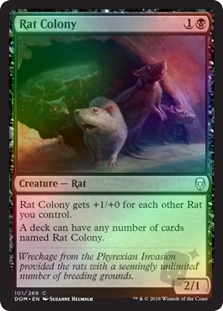 Rat Colony