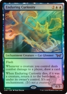 Enduring Curiosity