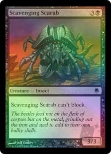 Scavenging Scarab