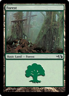Forest (28)