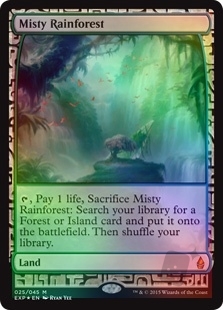 Misty Rainforest