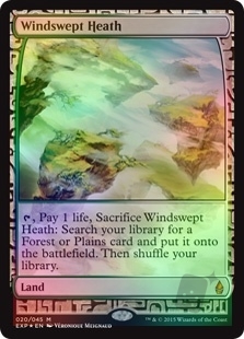 Windswept Heath