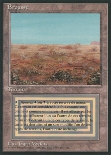 Scrubland (French)