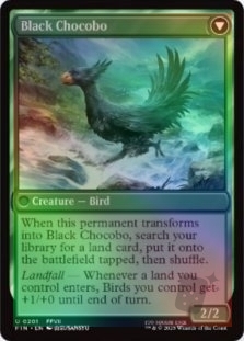 Sidequest: Raise a Chocobo // Black Chocobo