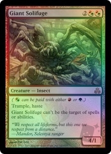 Giant Solifuge