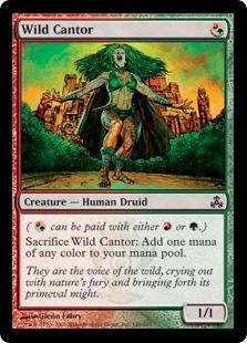 Wild Cantor