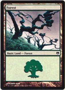 Forest (78)