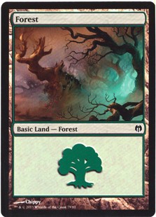 Forest (79)