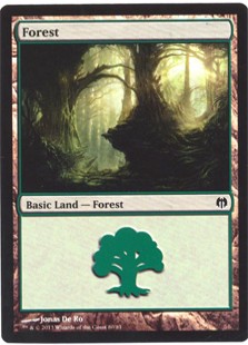 Forest (80)