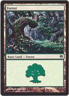 Forest (81)