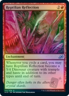 Reptilian Reflection