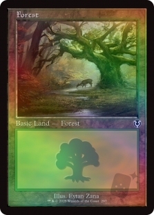 Forest (297)(Retro Frame)