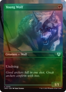 Young Wolf (Borderless)