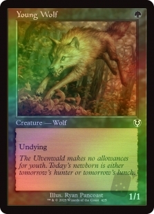 Young Wolf (Retro Frame)