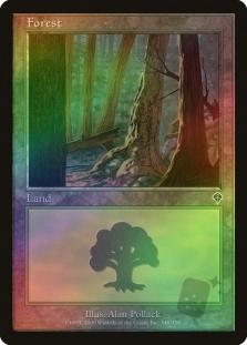 Forest (348)