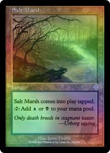 Salt Marsh