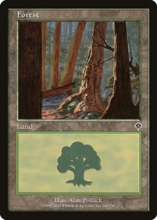 Forest (348)