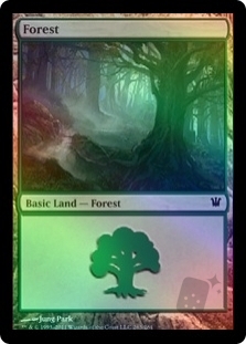Forest(263)