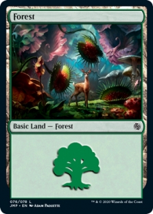 Forest (76)