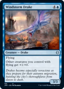 Windstorm Drake