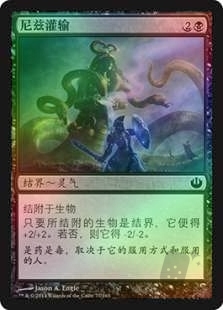 尼兹灌输