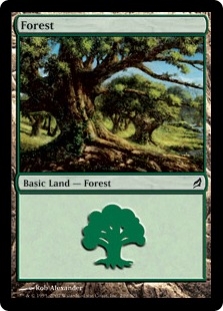 Forest (299)