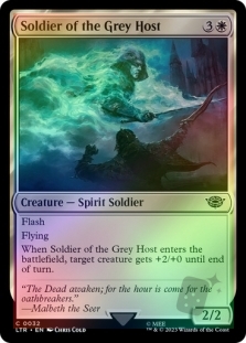 Soldier of the Grey Host