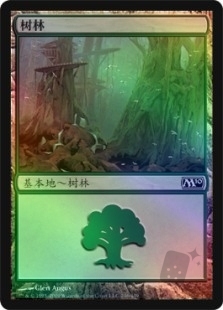 树林 (246)