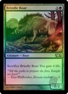 Brindle Boar