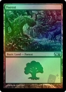 Forest (249)
