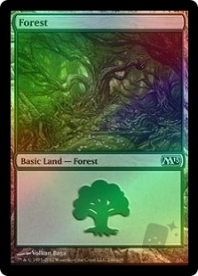 Forest (246)