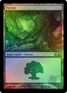 Forest (249)