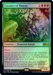 Cavalier of Thorns