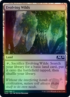Evolving Wilds