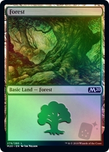 Forest (279)