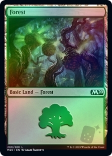 Forest (280)