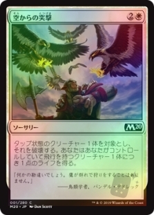 Aerial Assault