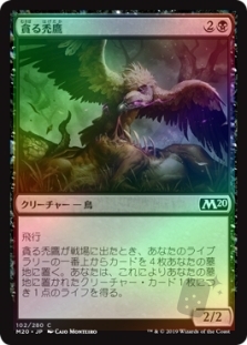 Gorging Vulture