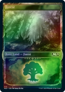 Forest (Showcase) (313)