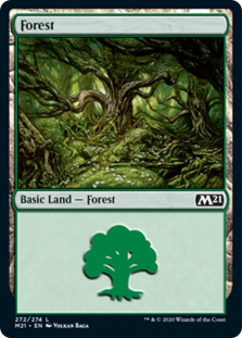 Forest (272)