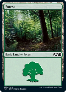 Forest (273)