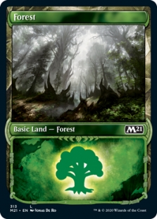Forest (Showcase) (313)